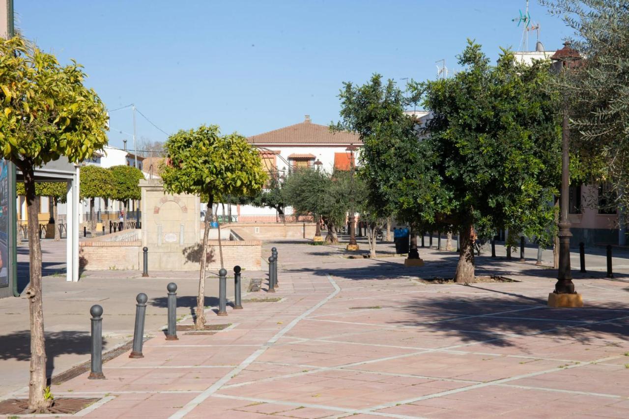 Casa Rural La Palmera อัลโมโดวาร์ เดล ริโอ ภายนอก รูปภาพ